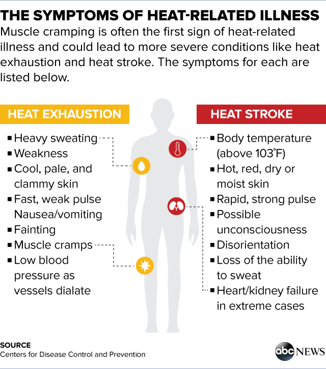 record-heat-how-the-body-reacts-to-soaring-temperatures-abc-news