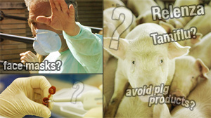 H1N1