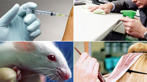 PHOTo Common sources of workplace allergens are shown in these file photos.