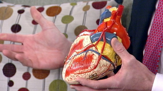 VIDEO: Dr. Chris Magovern discusses little-known facts about the heart.