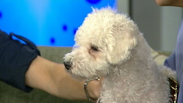 VIDEO: Dr. Tony Kremer with tips on keeping you and your pets healthy.