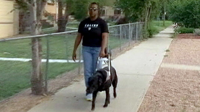 PHOTO: Denver resident Judie Brown was forced to have her seeing eye dog travel in the trunk of the taxi last month.