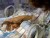 VIDEO: Premature Birth Rates Continues to Rise