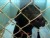 VIDEO: Keeping pets happy at kennels