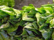 Don't Sabotage Your Salad