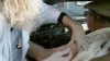 VIDEO: Adult Vaccinations: Are You Protected? 