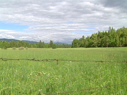 VIDEO: Avoid spring allergies