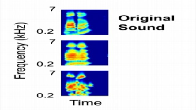 VIDEO: UC Berkeley researchers reconstructed language from listeners brain activity.