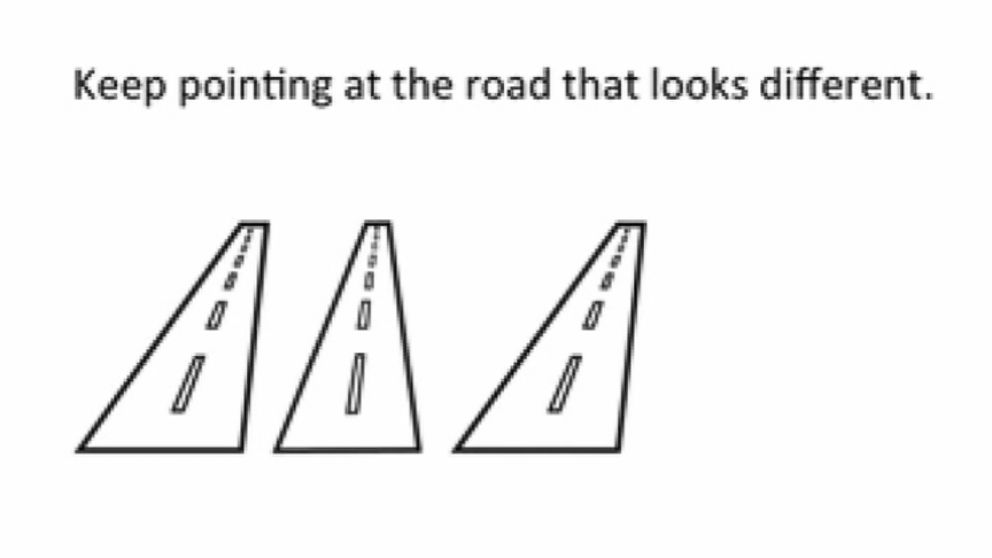 A Turn in the Road, third prize winner in the Best Illusion of the Year contest.