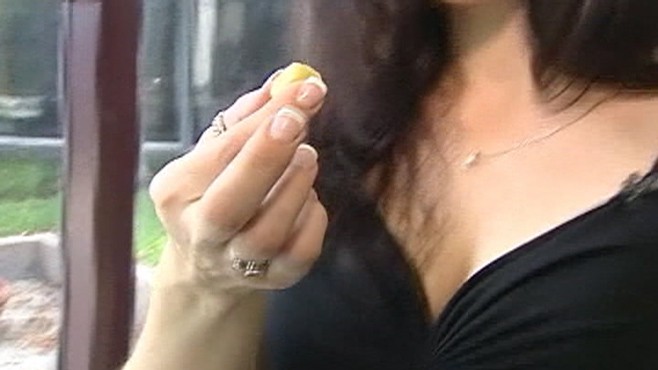 VIDEO: Dietitians stay wary of a cube-form of hoodia intended to curb appetites.