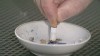 VIDEO: New study shows a higher risk of type 2 diabetes for smokers who recently quit.