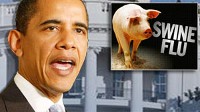 PHOTO The White House plans a briefing Sunday afternoon to discuss swine flu and the government's response.