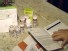 How to Get Free Prescription Drugs
