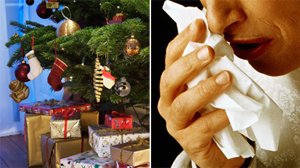 PHOTO Tis the season to be -- sniffly? Although many people assume that winter hails the end of high pollen counts and pesky seasonal allergies, the holiday season has a slew of allergy woes all its own.