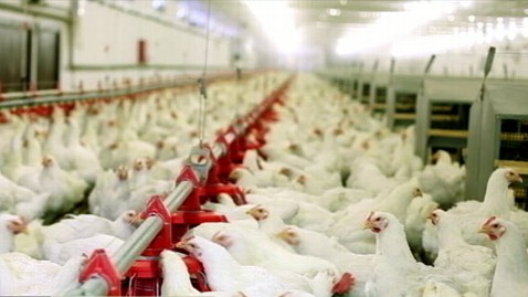 Nightline Daily Line, July 11: Romney Booed at NAACP abc superbug chicken jp 120711 wblog Nightline Daily Line, July 11: Romney Booed at NAACP