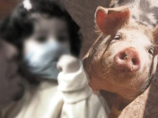 PHOTO As U.S. officials warn that the number of swine flu cases in the country are likely to increase, there are a number of steps Americans can do to protect themselves and their children from this unique virus.