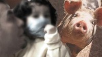 PHOTO As U.S. officials warn that the number of swine flu cases in the country are likely to increase, there are a number of steps Americans can do to protect themselves and their children from this unique virus.