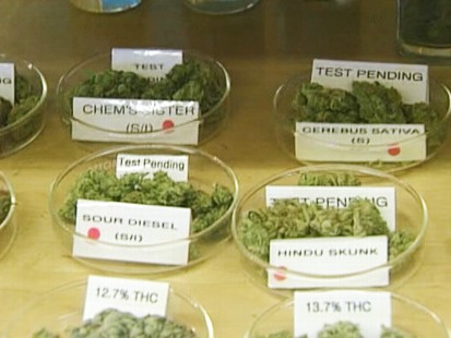 Video: N.J. approves the use of marijuana for medical purposes.