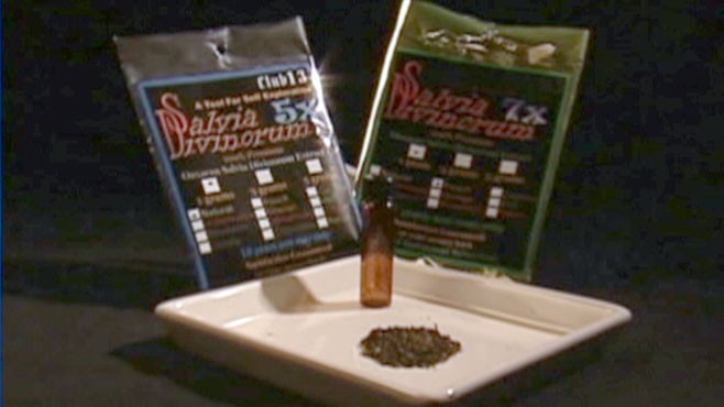 VIDEO: The DEA calls the herb, which is legal in some states, a