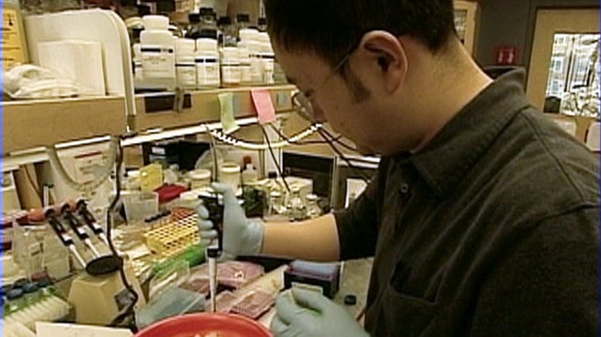 VIDEO: U.S. District Court's ruling freezes federally funded stem cell research.