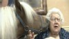 VIDEO: A Shetland pony prompts smiles at elderly centers in New Jersey.