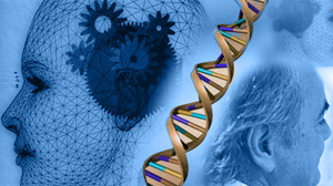 New Genes Linked to Alzheimers
Discovery May Help Researchers Better Understand the Degenerative Disease