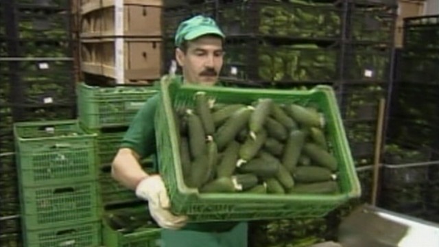 VIDEO: E. coli outbreak linked to contaminated vegetables has infected more than 1,100 people.