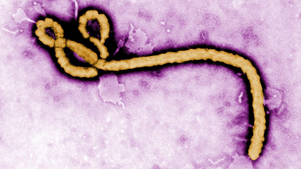 Health experts in Congo identify two more suspected Ebola cases