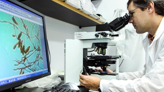 PHOTO: Shawn Lockhart looks at the meningitis-causing fungus Exserohilum rostratum at the mycotic lab at the Centers for Disease Control and Prevention in Atlanta.