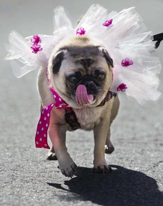 Breast Cancer Awareness Month