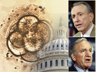 Embryonic Stem Cell Research Bill Is Same One Vetoed by Bush in 2007