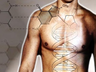 dna genes