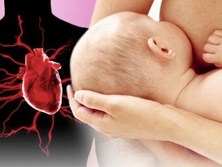 breastfeeding heart
