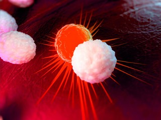 Experimental Cancer Treatment Offers Hope