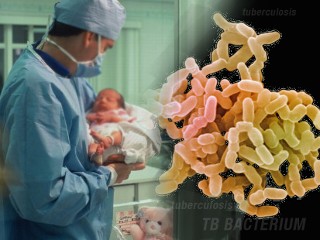 TB BACTERIUM