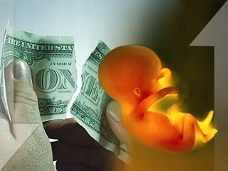 economy abortion
