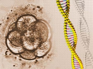 DNA Fingerprinting