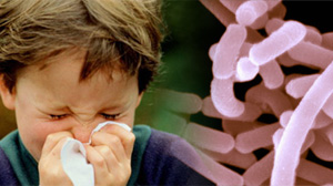 Lactobacillus acidophilus and illness