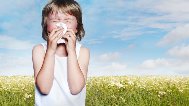 PHOTO: Spring this year could be the worst season ever for allergies with the season starting earlier and extending into October.