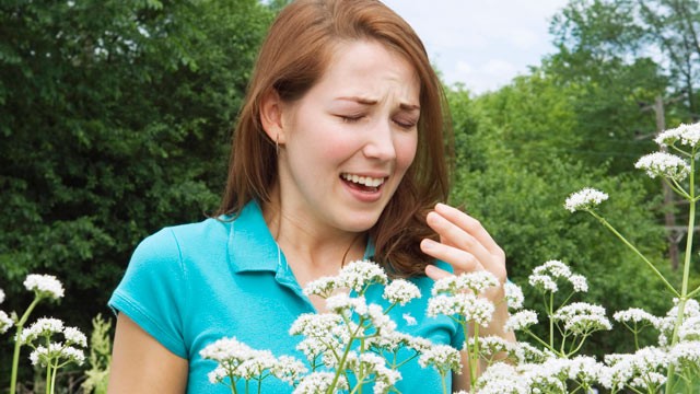 PHOTO: Record-breaking March temperatures will most likely exacerbate allergies and start the season earlier than usual.