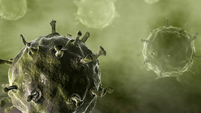PHOTO: Illustration of avian flu virus