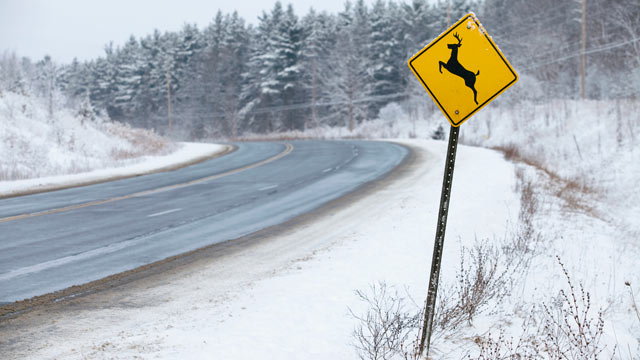 PHOTO: Deer crossing sign along snow covered landscape.
