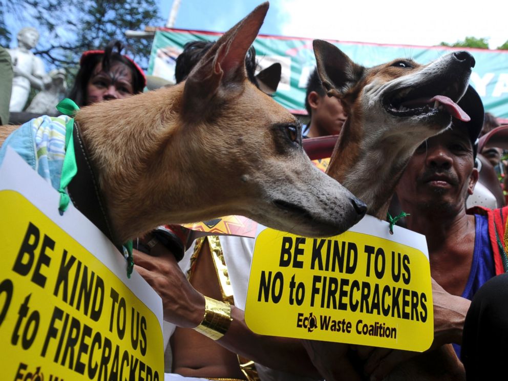 PHOTO: Animal rights advocates with their pets join in a campaign calling the public not to use firecrackers during the New Year celebration in the Philippines on Dec. 29, 2012.
