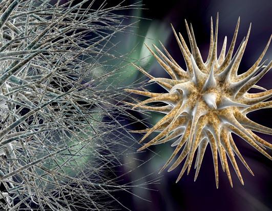 Colorful Flu and Cold Viruses