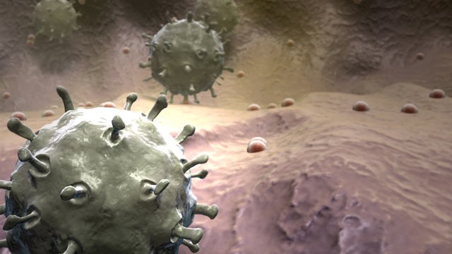 PHOTO: A dutch scientist, Ron Fouchier, created mutations of the H5N1 virus in a lab saying it will be helpful in treating the disease and creating vaccines.