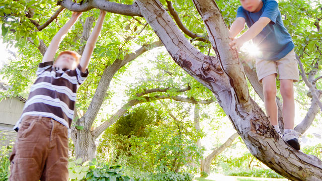 PHOTO: Researchers used geographic information systems to look at how features of neighborhoods children live and play in affect their health.
