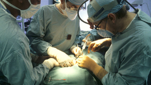 PHOTO: Surgeons perform a kidney transplant in this undated file photo.
