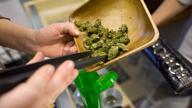 PHOTO: Medical marijuana