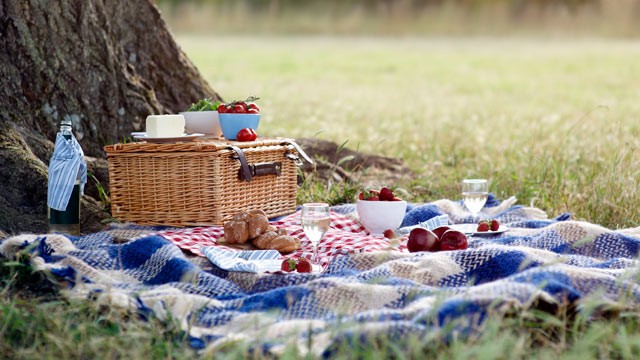 PHOTO: Here are some Memorial Day weekend health hazard tips.