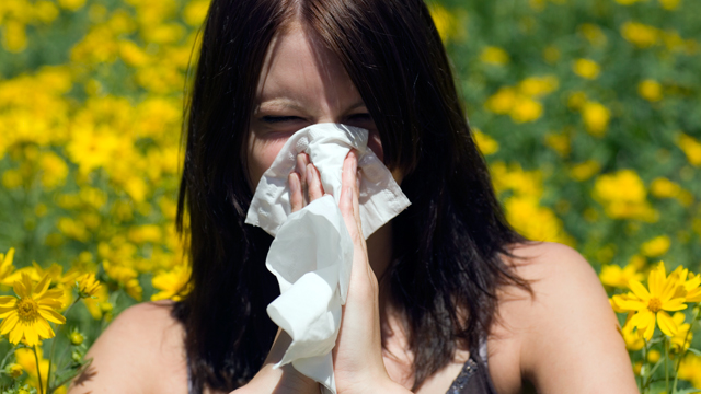PHOTO: Dont wait until youre sneezing to sniff out antiallergy aid.